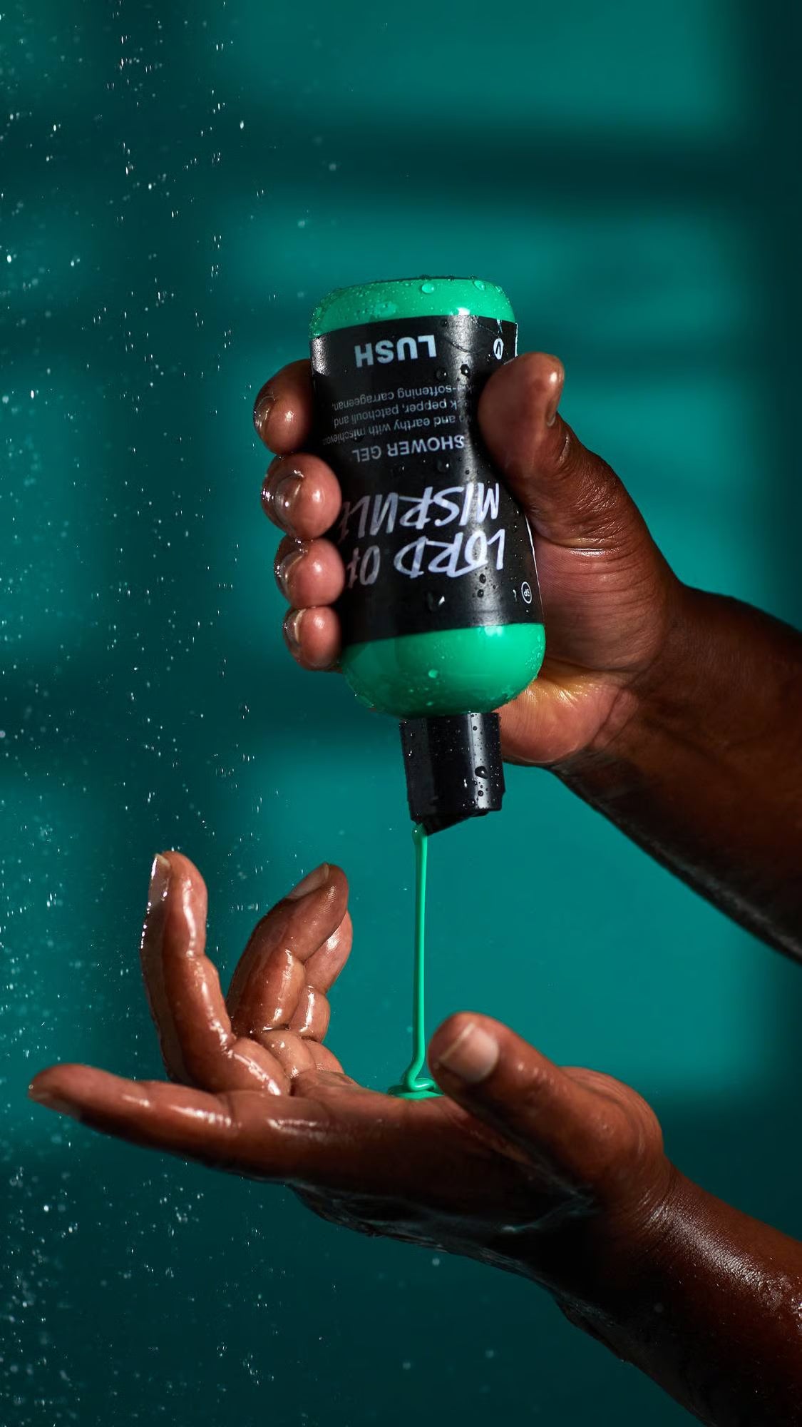 Lord Of Misrule