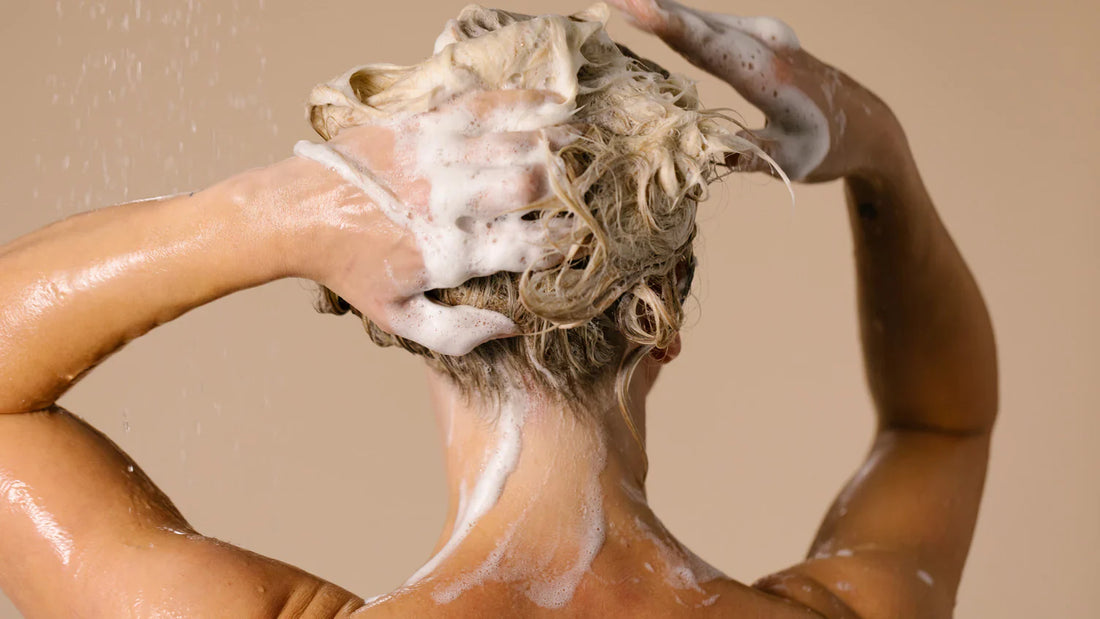 Shampoo
