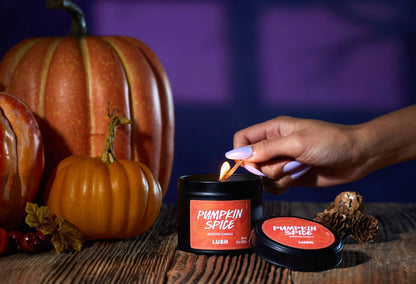 Pumpkin Spice Single Wick Candle