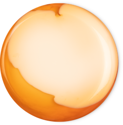 Bongo