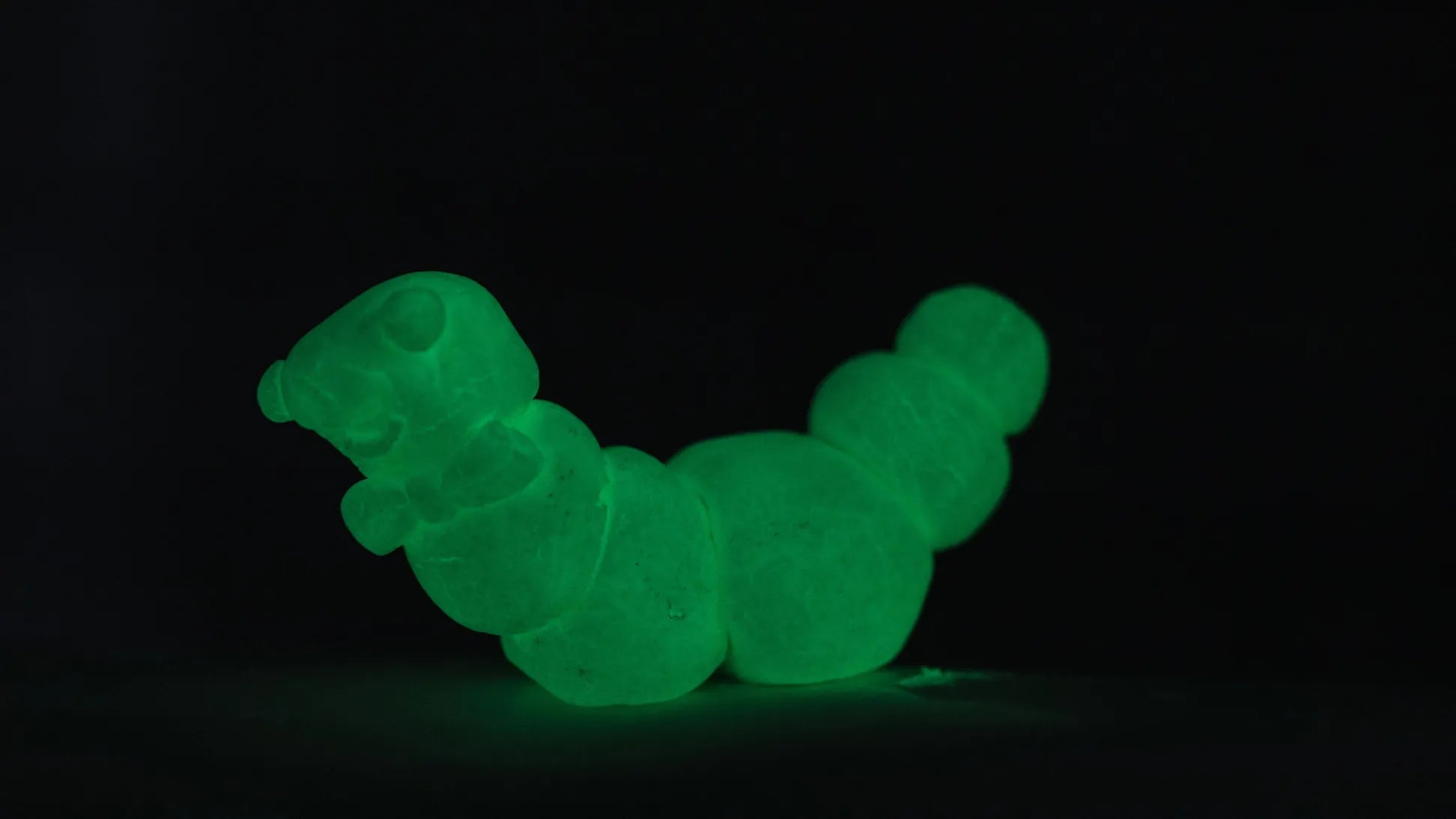 Glow Worm