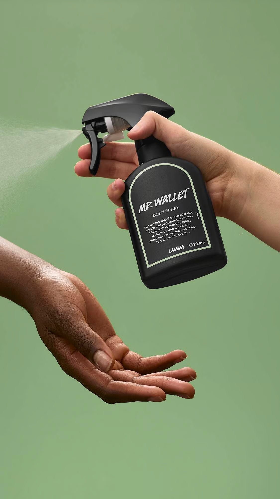 Mr Wallet