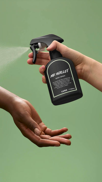 Mr Wallet