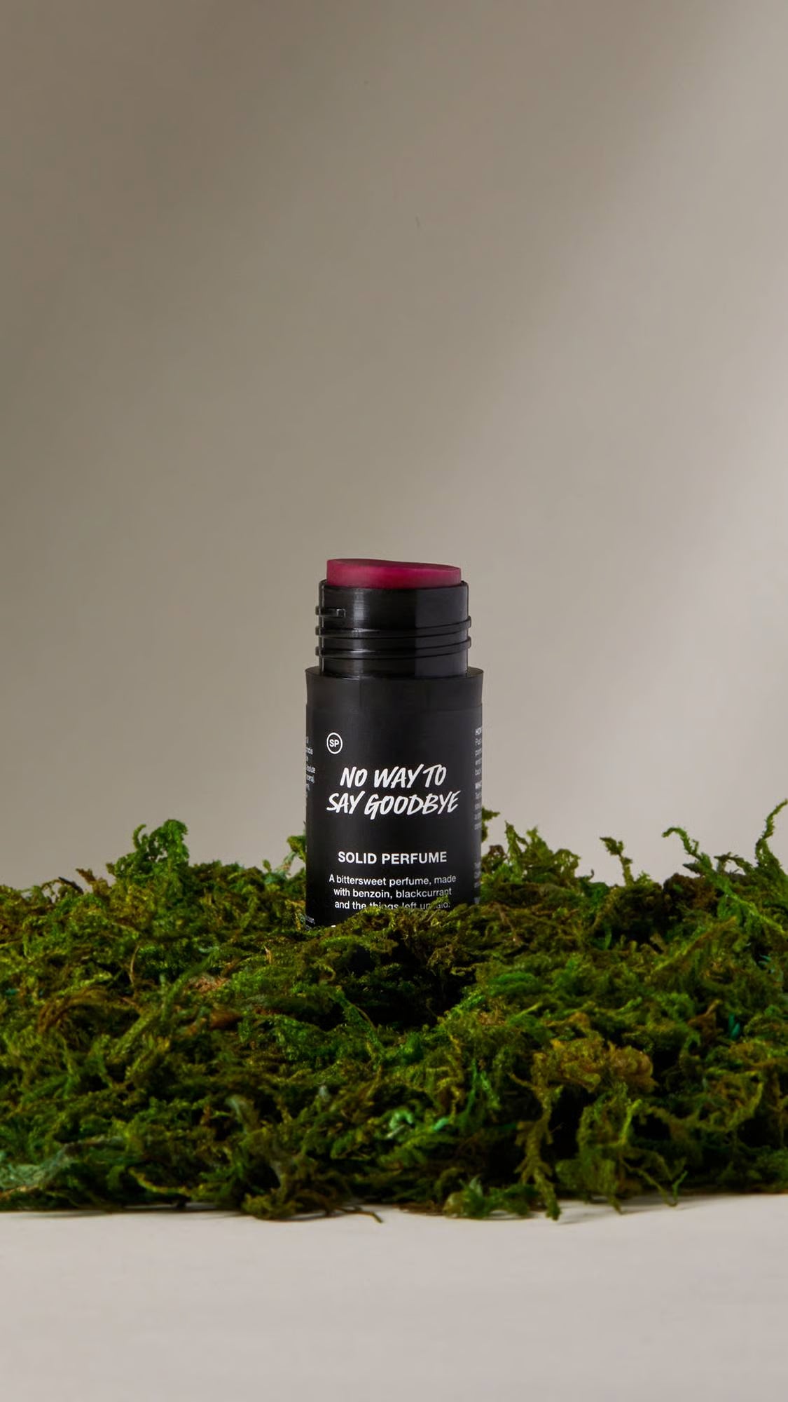 No Way To Say Goodbye