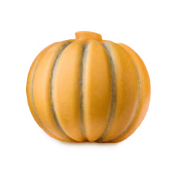 Pumpkin Scrubee