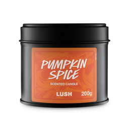 Pumpkin Spice Single Wick Candle