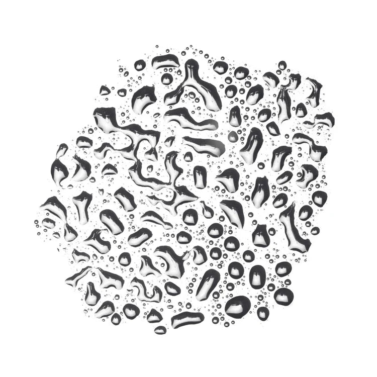 Sea Spray